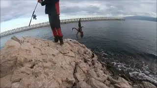 χταπόδια και σουπιές ψάρεμα από βράχια με την τεχνική tako egi