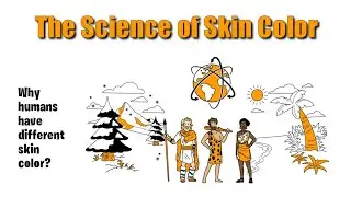 The Science of Skin Color 