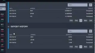 Bittrex Withdrawal & Deposit History