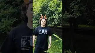 How to find a deer 
