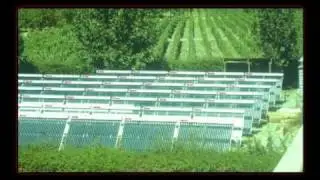 SUNRAIN презентация компании для advancedplumbers.kz .avi