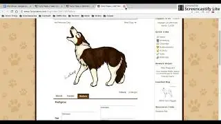 Furry-Paws Let's Play - Episode 1 - Introducing my Kennel Part 1!