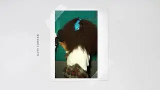 Lexxy | Open