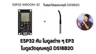 ESP32 กับ โมดูลต่างๆ EP3 | โมดูลวัดอุณหภูมิ DS18B20