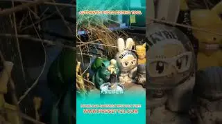 Photoshop #Part2184 #Photoshop #photoshoptricks #photoshoptutorial #photoshopediting #edit #edits #p