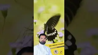 ഇരുളിൽ വെളിച്ചമായി നാഥൻ എന്നും കൂടെയുണ്ട്   | 😇  | Rev. Aneesh P Joseph | #shorts #motivation