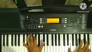 My heart will go on | Piano and strings cover