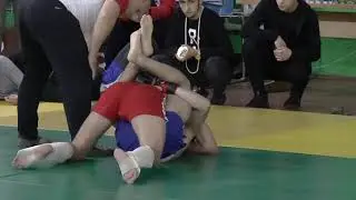 КУБОК ДОСААФ по боевому самбо 2019 г