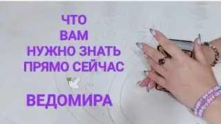 ЧТО ВАМ НУЖНО ЗНАТЬ ПРЯМО СЕЙЧАС👁 ИНФОРМАЦИЯ С ПОТОКА ☝СОВЕТ ТАРО🕊💌