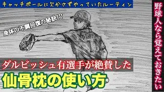 【道具紹介】ダルビッシュ有選手が愛用している！？「仙骨枕」の使い方
