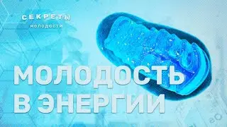 Молодость в Энергии. Секреты молодости. Погружаемся в изучение митохондрий. Часть 1.