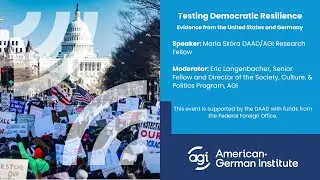 Testing Democratic Resilience: Evidence from the United States and Germany