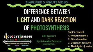 Difference between Light Dependent and Light Independent Reaction of Photosynthesis