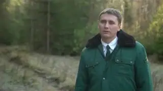 Лесная охрана на страже лесов