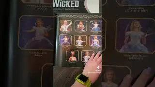 #Wicked Vinyl Record