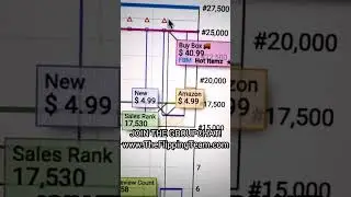 The Reseller's Route to Finding Profitable Amazon to Amazon Flips! #theflippingteam
