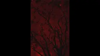 Dark Trap Type Beat - Bounce | Freestyle Type Beat 2025