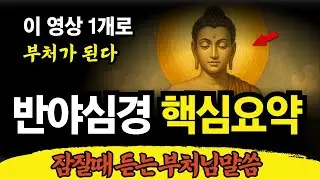 반야심경 1시간 요약본 | 불교명언 | 금강경 화엄경 천수경 | 잠잘때 듣는 부처님 말씀 | 불면증 | 잠 안올때 듣는 명언 사자성어 고사성어 심리상담