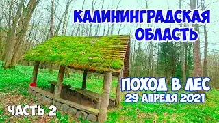 Первый поход в этом году - день второй // Калининград //  Калининградская область