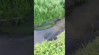Новая локация