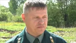 Знай наших  Главный специалист Сланцевского лесничества Павел Рябинин