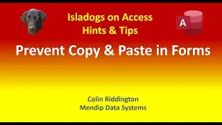 Prevent Copy & Paste in Access Forms