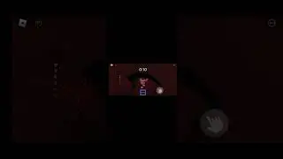 ADA!! SPIDER LARI!!!
