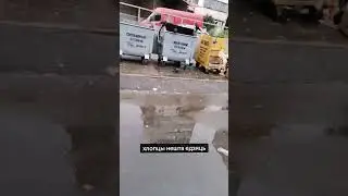 Больше меня в ТГ: Сасный Бой