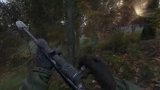 DayZ. Зазевались у хеликраша.