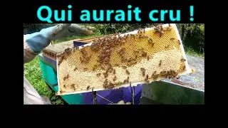 Qui aurait cru !