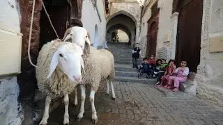 عاجل : عيد الاضحى و غلاء الاسعار