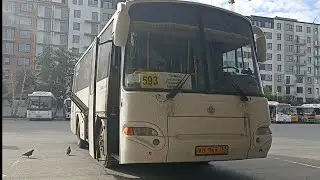 поездка на автобусе КАвЗ-4235-12 ( 2017 г.в ), ао 147 72, маршрут 593 ( г. Тюмень)