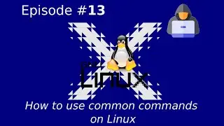 How to use common commands on Linux