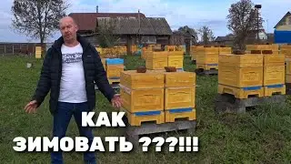 HOW TO WINTER???!!!
