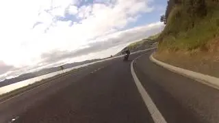 Dunedin bike trip