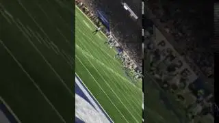 Lions game with sister