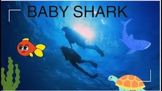 BABY SHARK  #trending #kidssong #nurseryrhymes #babyshark #kidsrhymes #forkids