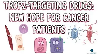The Role of the TROP2 Biomarker in Cancer
