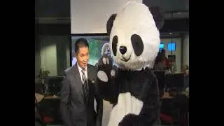 Panda Chong