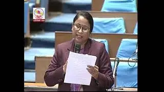 प्रतिनिधि सभा बैठक, २०८१ असार २८ गते, शुक्रबार बिहान ११-००