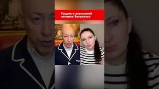 Гордон о возможной отставке Залужного 