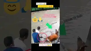 MashAllah ☝🏻😇 Greatest Save 😍 #shorts #status #short