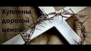 Куплены дорогою ценой.