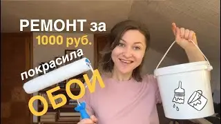 БЮДЖЕТНАЯ ПЕРЕДЕЛКА КОМНАТЫ. Продолжаем ремонт на кухне. Наши сельские будни. #16