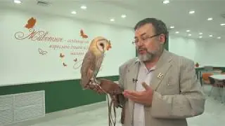 Один день из жизни Центра биоразнообразия КемГУ