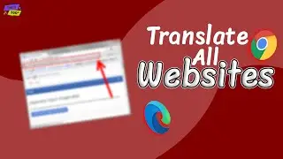 How to Automatically Translate Websites in Google Chrome (PC & PHONE) | Google Translate a Website