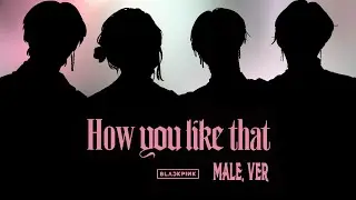 【BLACKPINK】How You Like That - Male.ver