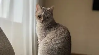 Лучшие моменты трансляции 