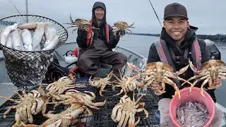 Squids Fishing & Cooking & Crabbing Winter Day Time