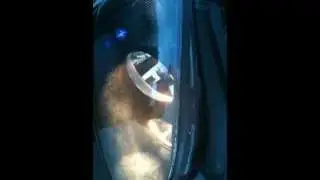 mondeo mk3 blackeyes making a noise